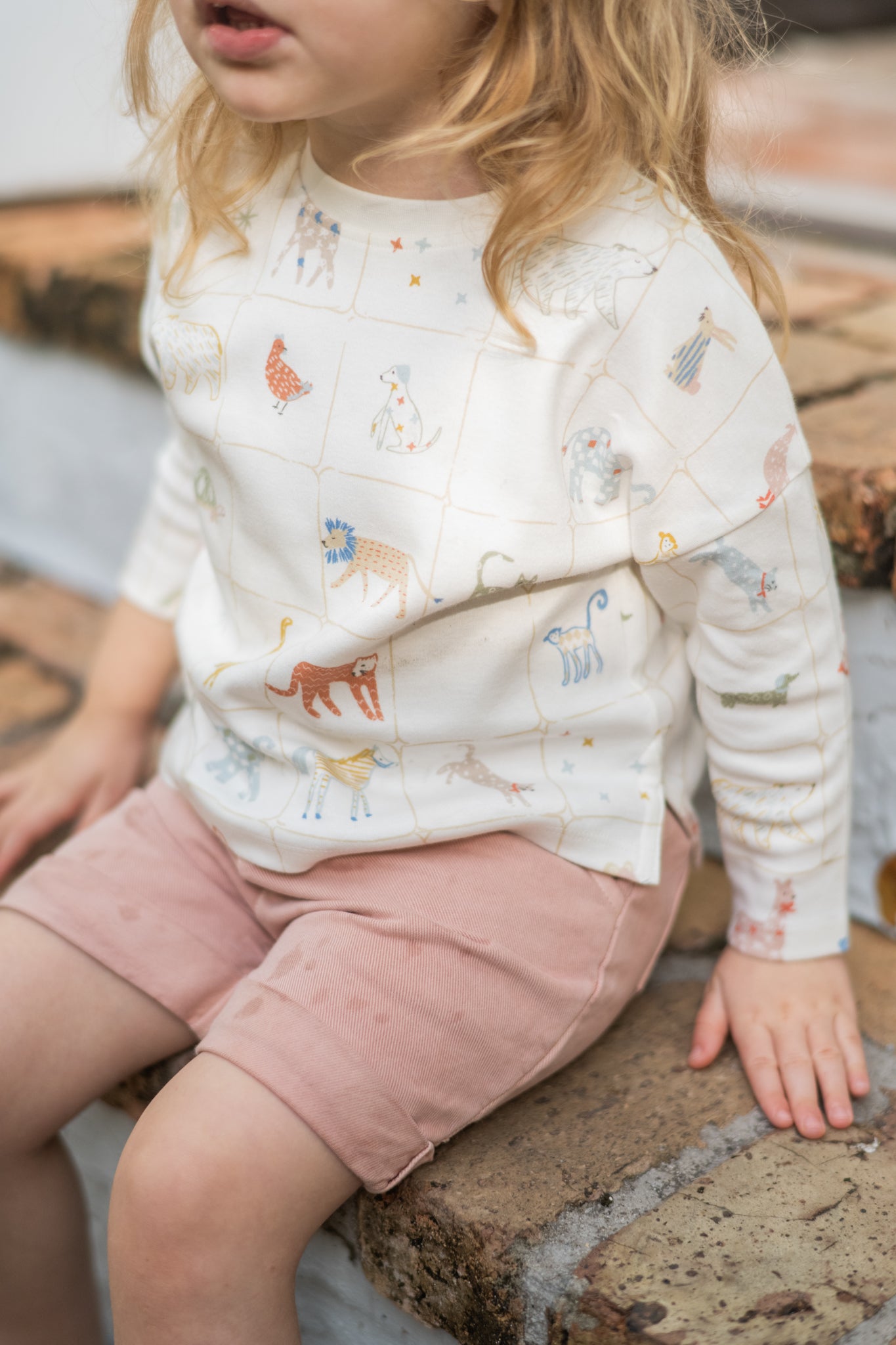 Dropped Shoulder Long Sleeve Top - Animal Shuffle