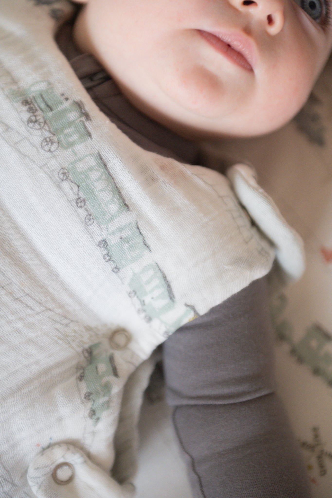 Pehr-1.7 TOG Sleep Bag- Locomotive-4