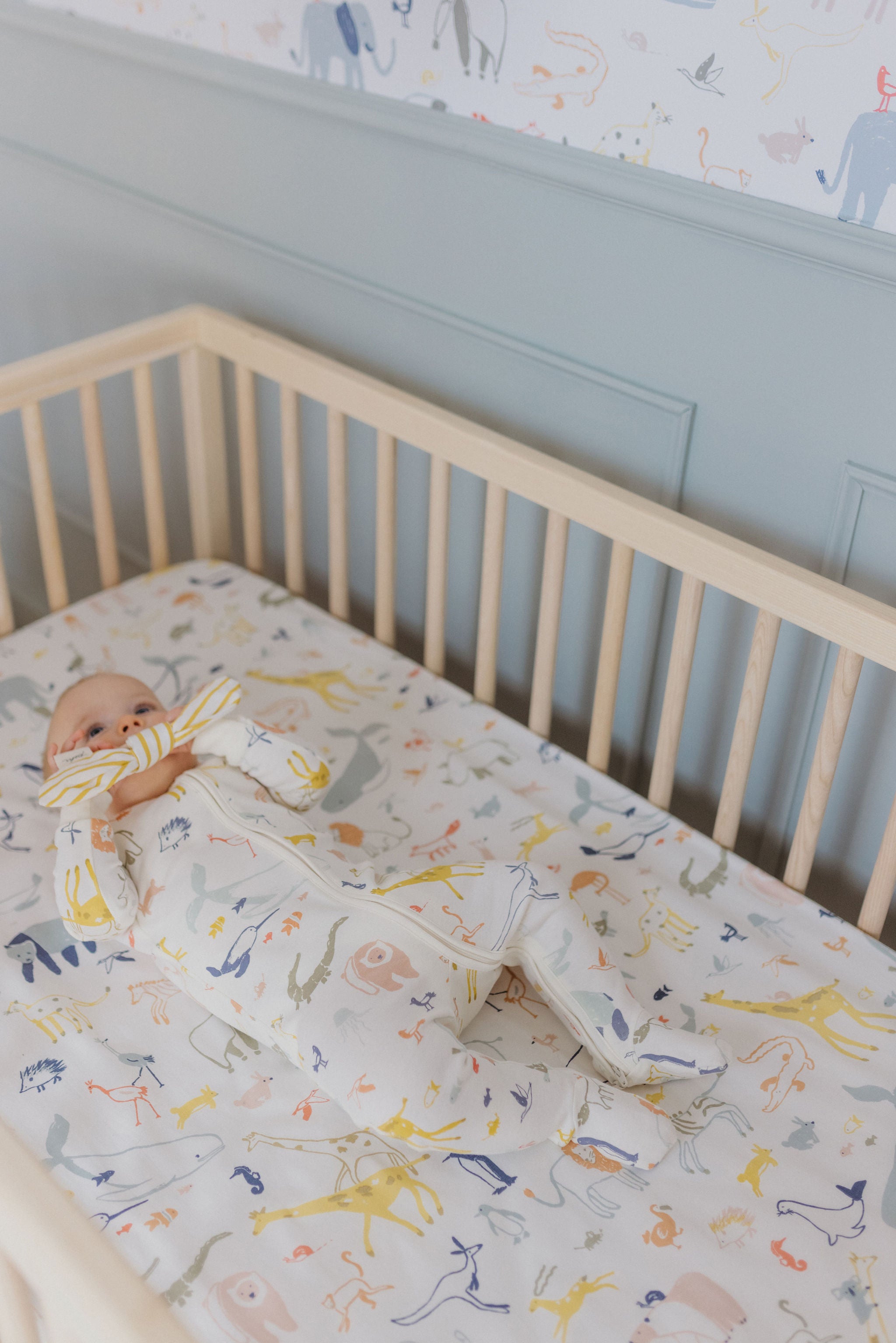 Crib Sheet - Into The Wild  